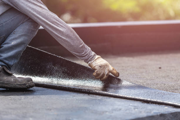 Professional Interior Drainage System technician working in Luna Pier, MI